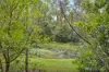 1955 Warburton Highway, Launching Place, Vic 3139-Image