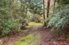1955 Warburton Highway, Launching Place, Vic 3139-Image