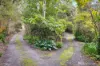 1955 Warburton Highway, Launching Place, Vic 3139-Image