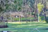 196 Holyoake Road, Dwellingup, WA 6213-Image