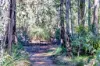 196 Holyoake Road, Dwellingup, WA 6213-Image