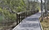 196 West Burleigh Road, Burleigh Heads, Qld 4220-Image