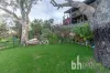 1969 East Front Road, Younghusband, SA 5238-Image