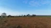 197 Duffield Road, Wandearah East, SA 5523-Image