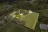 197 Foggo Road, McLaren Flat, SA 5171-Image