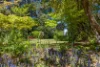 197 Hat Hill Road, Blackheath, NSW 2785-Image
