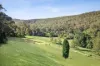 197 Palmdale Road, Palmdale, NSW 2258