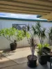 198 Pulgul, Urangan, Qld 4655-Image