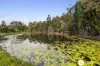 199-235 Markwell Road, Caboolture, Qld 4510-Image