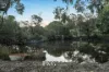 199 Ahern Road, Pakenham, Vic 3810-Image