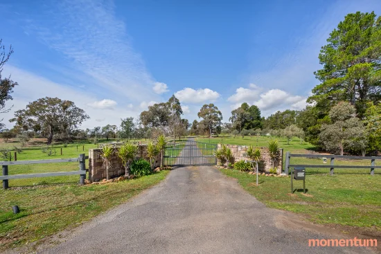 199 Bidges Road, Sutton, NSW 2620-Image