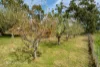 199 Dip Road, Mountain River, Tas 7109-Image