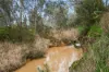 199 Hodges Lane, Longlea, Vic 3551-Image