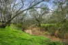 199 Hodges Lane, Longlea, Vic 3551-Image