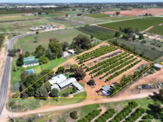 199 Pumps Road, Red Cliffs, Vic 3496