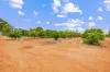 199 Pumps Road, Red Cliffs, Vic 3496-Image