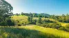 199 Rammutt Road, Chatsworth, Qld 4570-Image