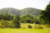 199 Rammutt Road, Chatsworth, Qld 4570-Image