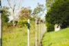 199 Rammutt Road, Chatsworth, Qld 4570-Image