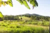 199 Rammutt Road, Chatsworth, Qld 4570-Image