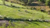 199 Sagars Road, Hazelwood North, Vic 3840-Image