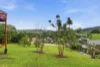 199 Shephards Lane, Coffs Harbour, NSW 2450-Image
