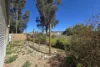 199 Walls Street, Iron Knob, SA 5611-Image