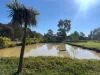 1997 Restdown Road, Echuca, Vic 3564-Image