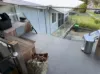 19A Blackett Drive, Castle Hill, NSW 2154-Image
