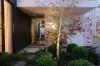 1A Carey Street, Magill, SA 5072-Image
