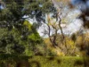 1A Curzon Street, Mount Lofty, Qld 4350-Image
