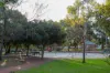 1A Phillips Grove, Innaloo, WA 6018-Image