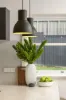1A Shirley Road, Miranda, NSW 2228-Image