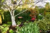 1A Station Street, Trentham, Vic 3458-Image