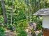 1A Stuart Street, Edge Hill, Qld 4870-Image