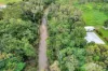 1A Wilson Street, Mareeba, Qld 4880-Image