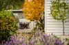 1B Dunsford Street, Lancefield, Vic 3435-Image