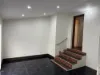 1b Griffiths Street, Ashfield, NSW 2131-Image