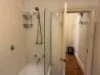 1b Griffiths Street, Ashfield, NSW 2131-Image