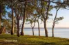1B Lukela Avenue, Halekulani, NSW 2262-Image