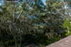 1B Ocean Street, Dudley, NSW 2290-Image