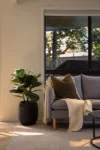 1b Old Forest Road, Lugarno, NSW 2210-Image