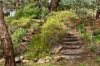 1B Perry Lane, Eden Hills, SA 5050-Image