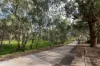 1B Thomas Avenue, Paradise, SA 5075-Image