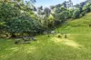 1C Cosgrove Avenue, Keiraville, NSW 2500-Image