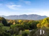 1C Evans Street, Bellingen, NSW 2454-Image
