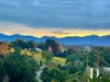 1C Evans Street, Bellingen, NSW 2454-Image