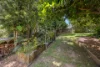 1C Rawson Street, Bellingen, NSW 2454-Image