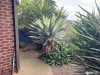 2/13 Vanderbilt Avenue, Truganina, Vic 3029-Image
