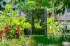2/2 - 12 Reef Street, Port Douglas, Qld 4877-Image